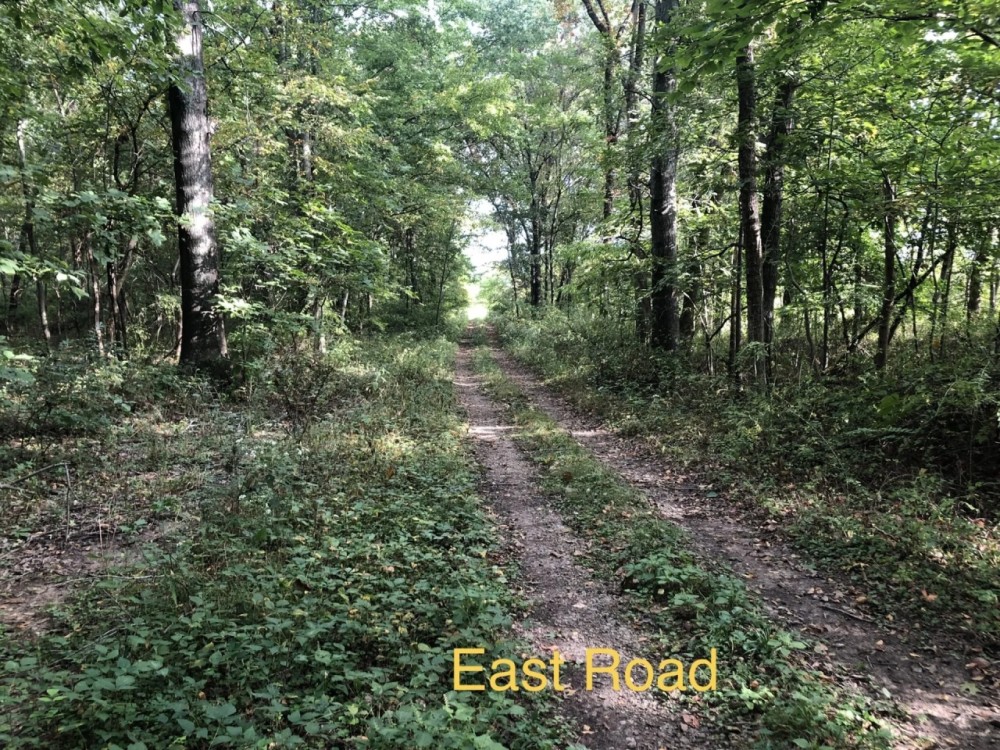 000 LINCOLN Road Iuka IL 62849 Hunting Land for Sale