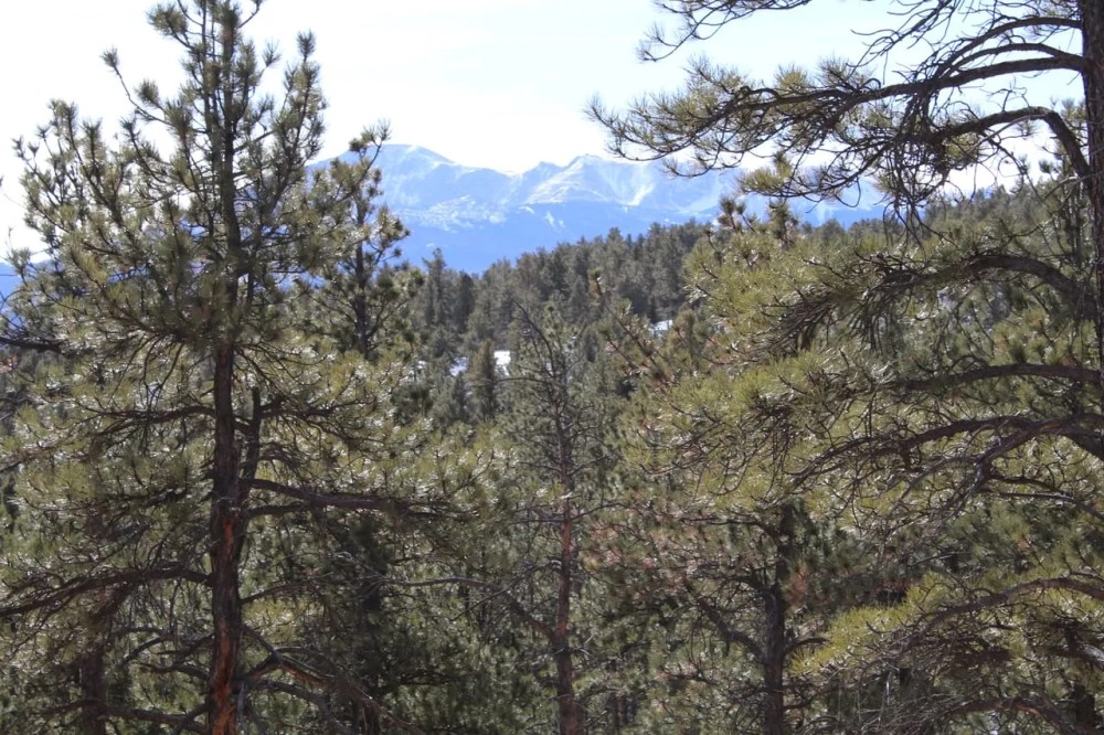 Shining Mountain Hide-away featured image