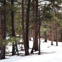 Shining Mountain Hide-away images 2