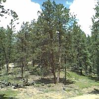 Shining Mountain Hide-away images 3