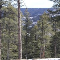 Shining Mountain Hide-away images 5