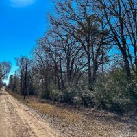 69 Acres Off JB Pride Road images 2