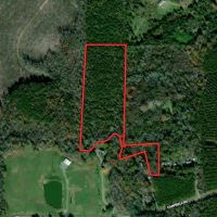 13.31 acre Secluded Building Lot For Sale in Chatham County NC