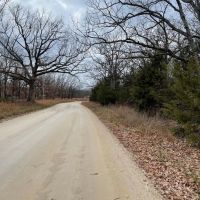 46 Acres of Hunting Land in Camdenton MO images 2