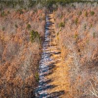 Bone Creek Game Camp images 3