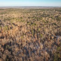 Sullivan Woodlands