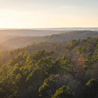 Sullivan Woodlands images 2