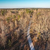 Sullivan Woodlands images 3