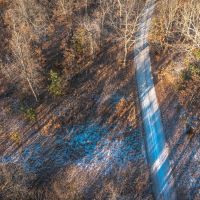 Sullivan Woodlands images 4