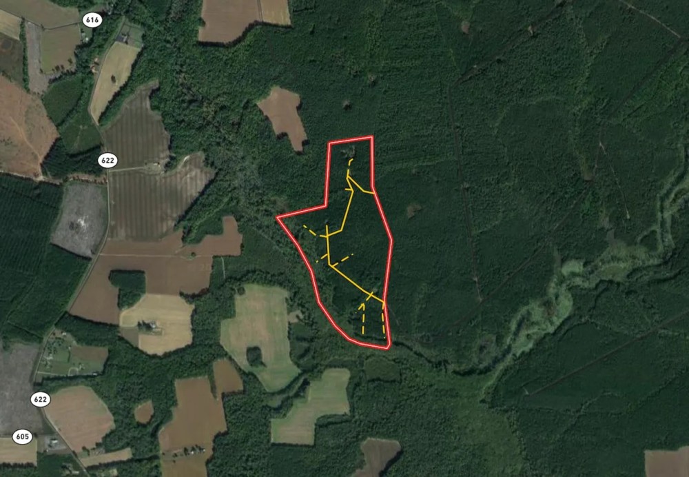 100 acres of Hunting Recreational and Timber Land For Sale in Surry County VA featured image