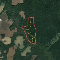 100 acres of Hunting Recreational and Timber Land For Sale in Surry County VA