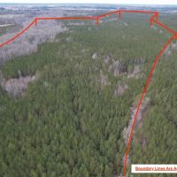 100 acres of Hunting Recreational and Timber Land For Sale in Surry County VA images 3