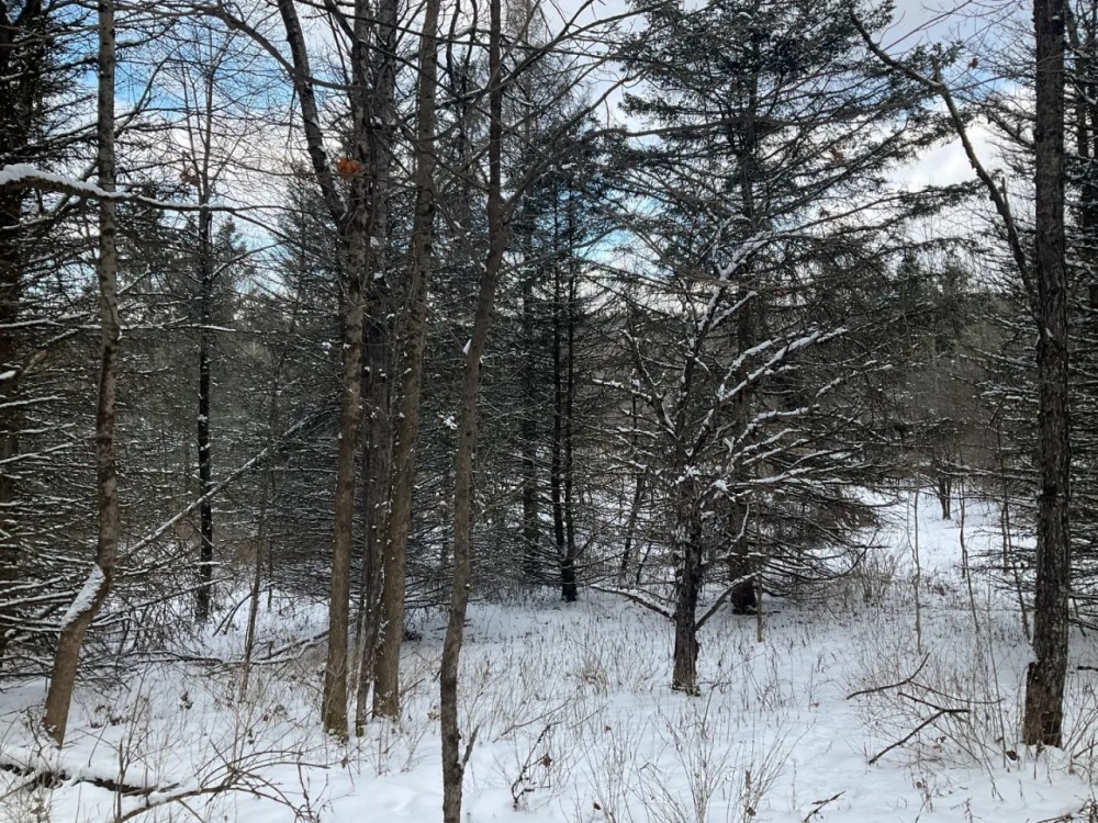 6 acre Country Lot for Sale Smyrna NY featured image