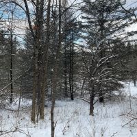 6 acre Country Lot for Sale Smyrna NY