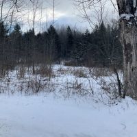 6 acre Country Lot for Sale Smyrna NY images 2
