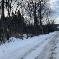 6 acre Country Lot for Sale Smyrna NY images 3