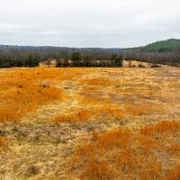 100 - Acres Cattle Farm Fenced Ponds Creek House Mountain View Arkansas images 5