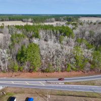 13.6 acres of Timberland For Sale in Craven County NC images 3