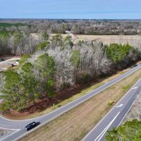 13.6 acres of Timberland For Sale in Craven County NC images 5
