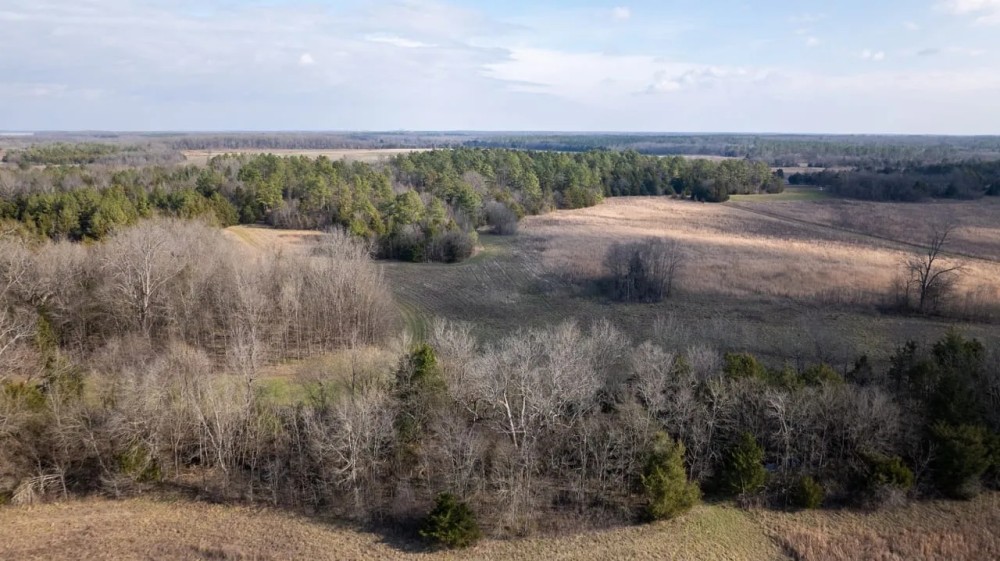 Lowndes County - 100 Acres - Woods Meadows featured image