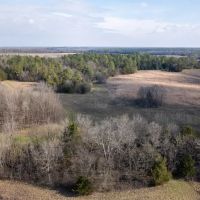 Lowndes County - 100 Acres - Woods Meadows