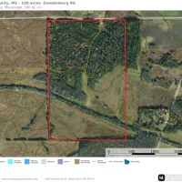 Lowndes County - 100 Acres - Woods Meadows images 2