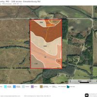 Lowndes County - 100 Acres - Woods Meadows images 4