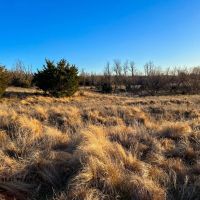 Stinking Creek 160 images 3