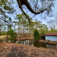 5.3 acres of Residential Waterfront Land For Sale in Pamlico County NC images 3