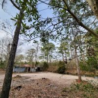 5.3 acres of Residential Waterfront Land For Sale in Pamlico County NC images 4