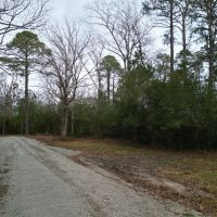 5.3 acres of Residential Waterfront Land For Sale in Pamlico County NC images 5