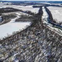 143.99 Acre Deer Duck Hunting Property for Sale Pike County images 5