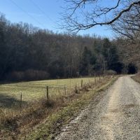 330 - acres Recreational Hunting Land images 3