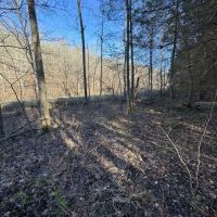 330 - acres Recreational Hunting Land images 5
