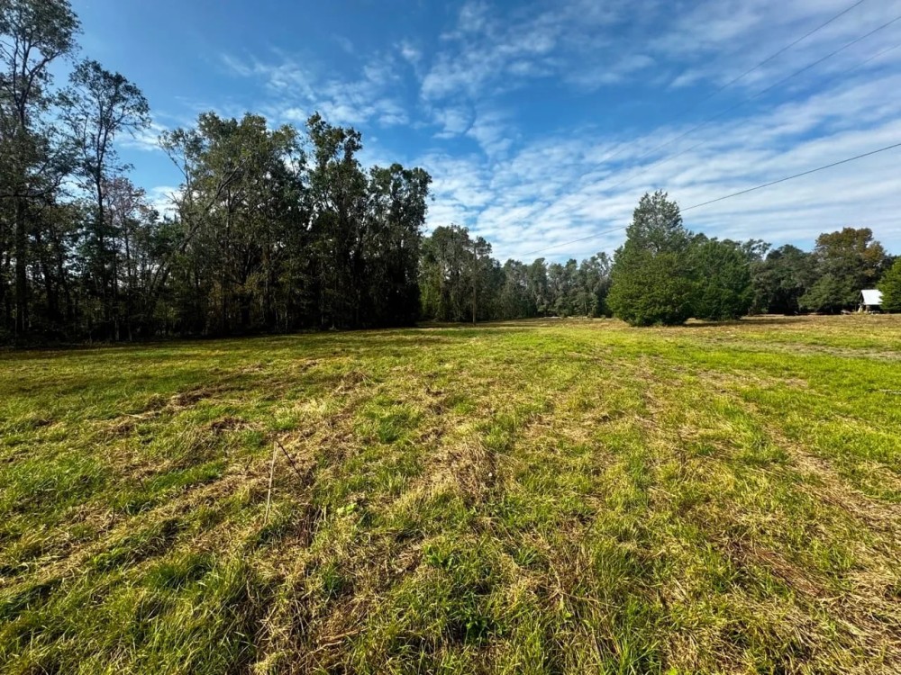 Coachwhip 21.5 Acres featured image