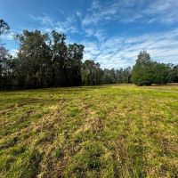 Coachwhip 21.5 Acres
