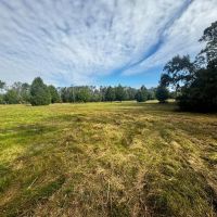 Coachwhip 21.5 Acres images 2