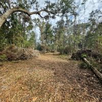 Coachwhip 21.5 Acres images 3