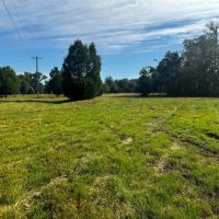 Coachwhip 21.5 Acres images 4
