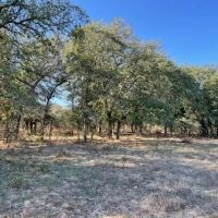 New Listing 138.48 - Acres Eastland County images 3