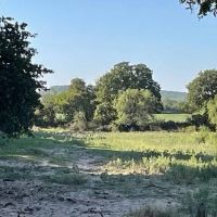 New Listing 138.48 - Acres Eastland County images 5