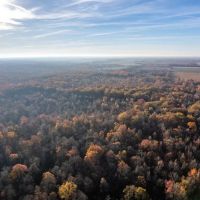 National Forest Woods images 2