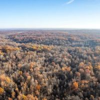 National Forest Woods images 3