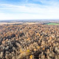National Forest Woods images 4