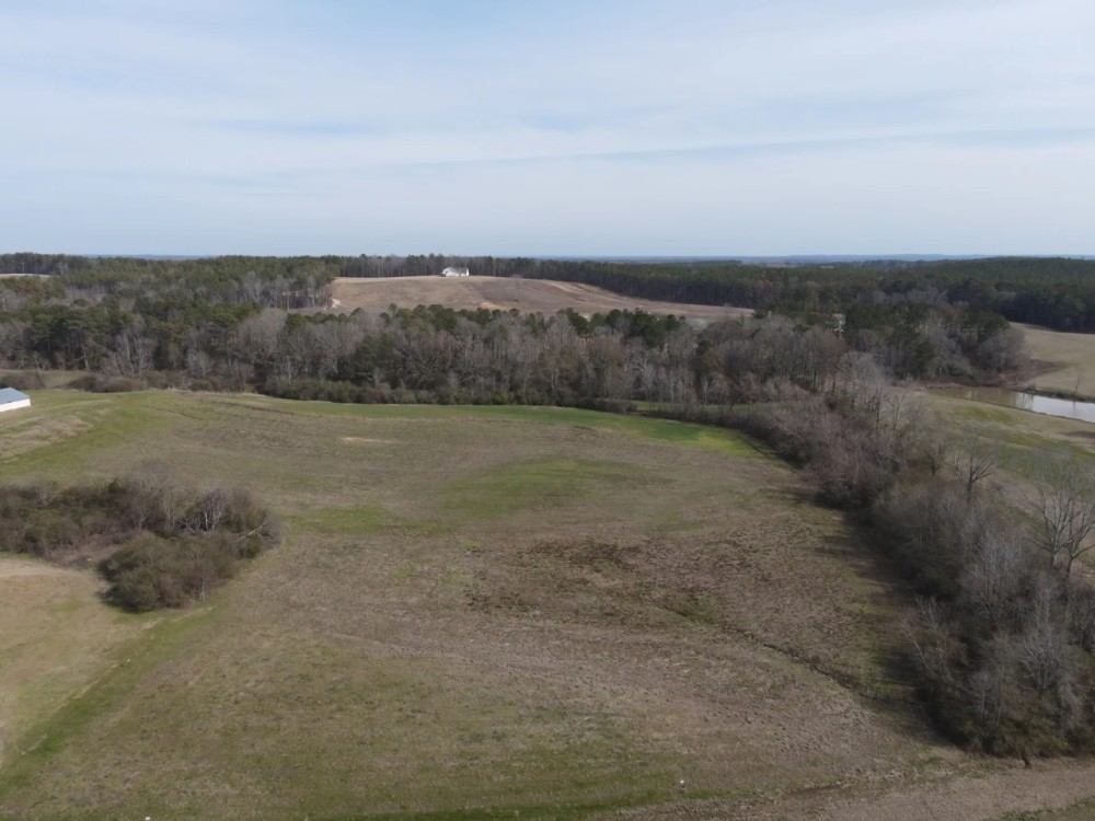 20 Acres in Rankin County Near Puckett MS featured image