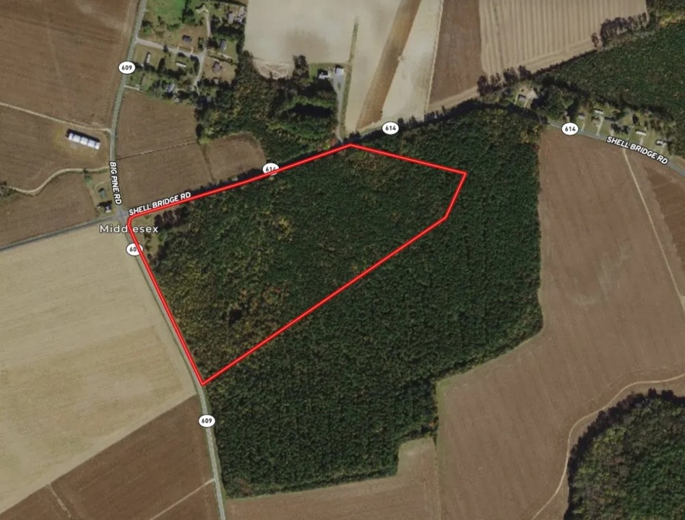 32 acres of Timber Land for Sale in Accomack County VA featured image
