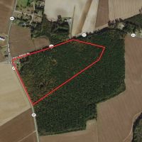 32 acres of Timber Land for Sale in Accomack County VA