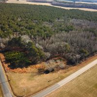 32 acres of Timber Land for Sale in Accomack County VA images 2