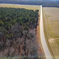 32 acres of Timber Land for Sale in Accomack County VA images 3