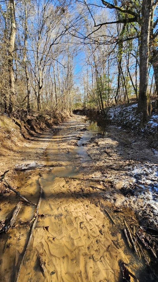 1 110 Acres in Jasper County MS featured image